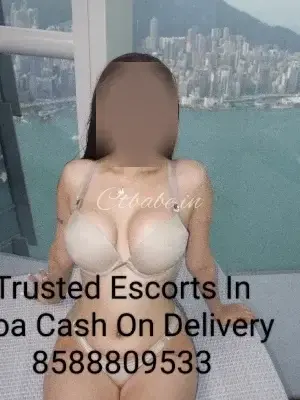 8588809533 Verified Call Girls In Vagator Beach Goa Phone Number No Advance - Call Girls in vagator, Goa